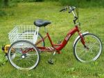 Torker Trike Kit Robin Subaru Four Cycle 33.5 cc 1.60 hp