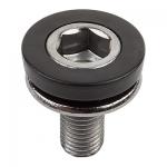 Axle Bolts 8mm x 1.0 Has plastic cap ( Set of two )